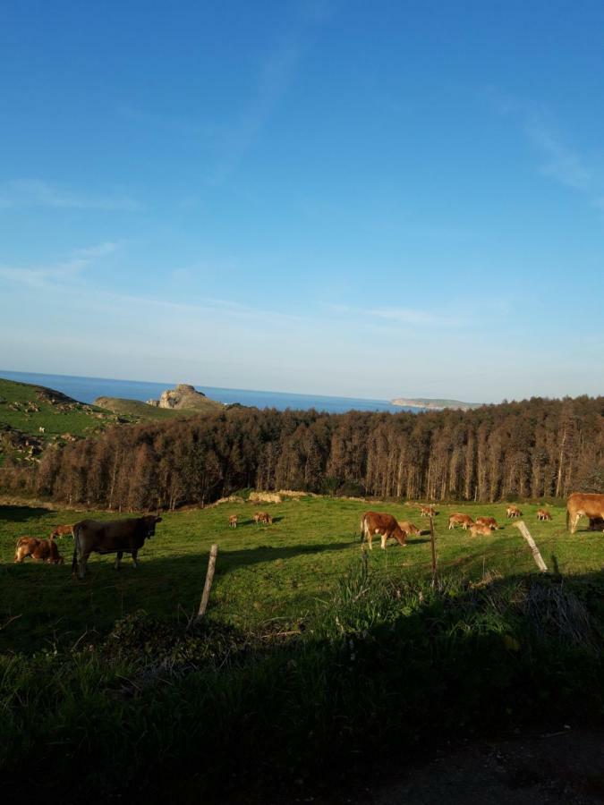 La Torruca Villa Orena Kültér fotó